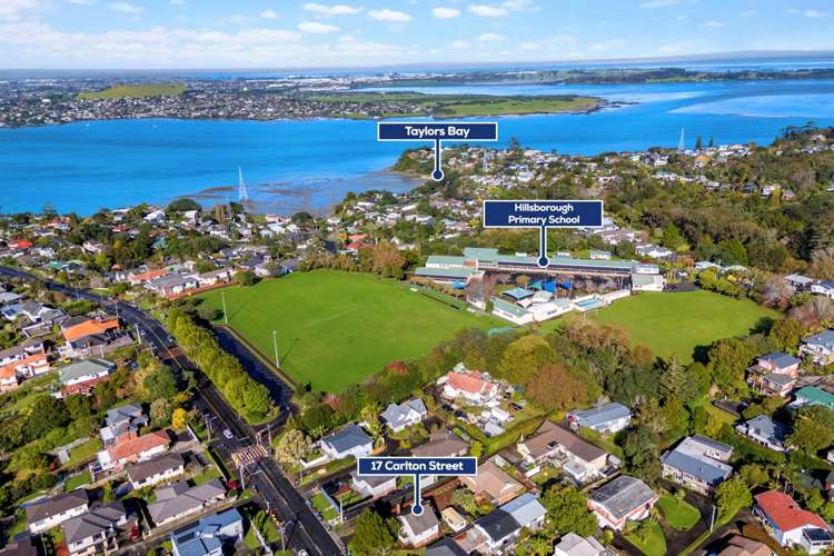 17 Carlton Street Hillsborough_15