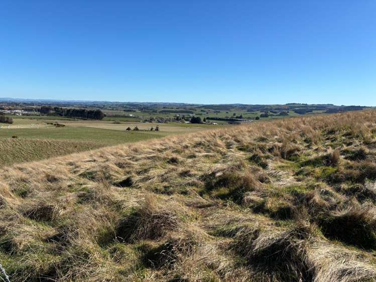 Waihola Highway Waihola_21