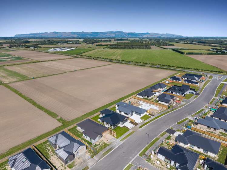 101 Scout Street Rolleston_5