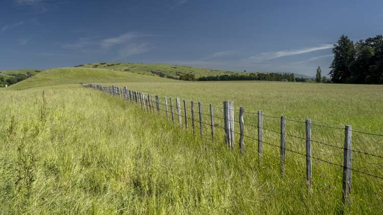 43 Taumata Island Road Carterton_12