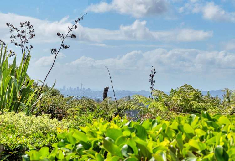 41 Kitewaho Road Swanson_25