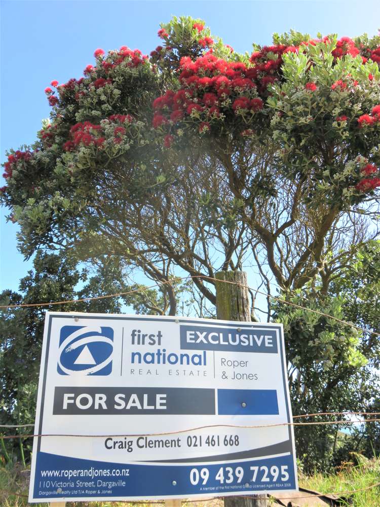 47 Sunset Drive Dargaville Surrounds_7