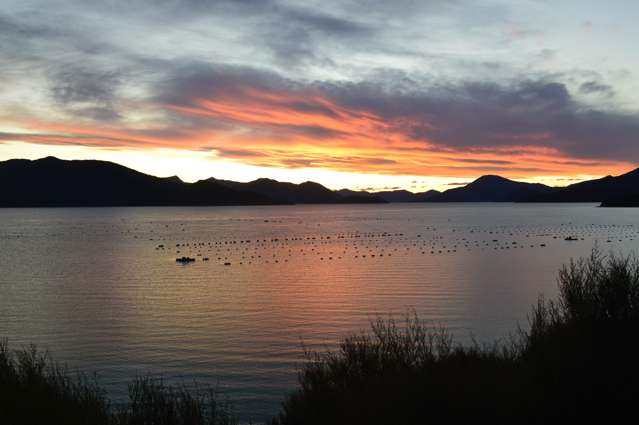 Clova Bay Road Manaroa_1