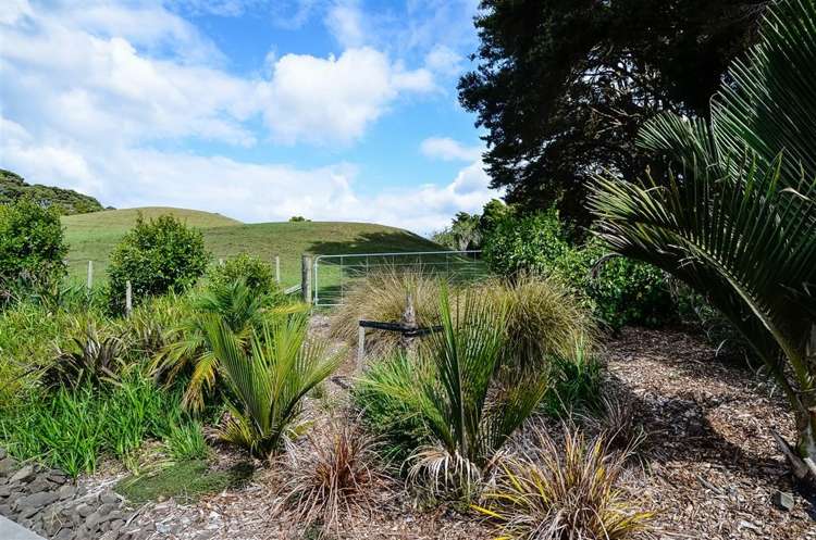 87 Taylor Road Waimauku_18