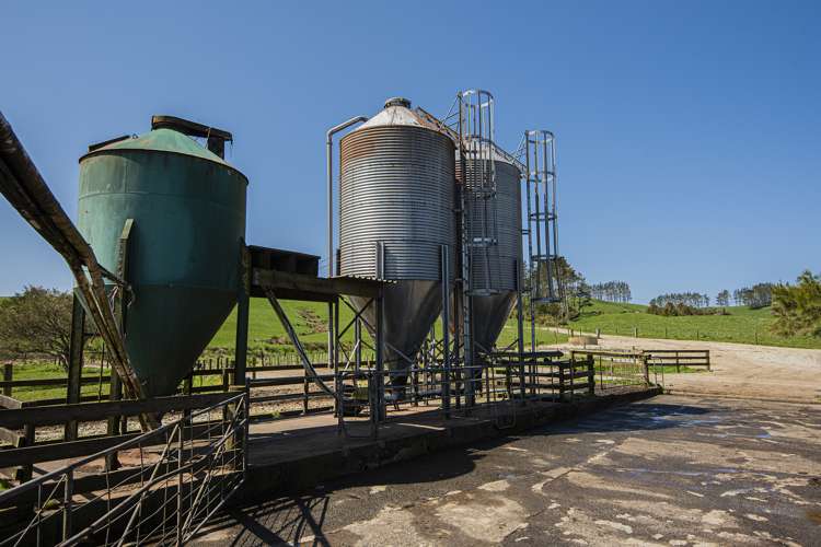 24 Foster Road Dargaville Surrounds_6