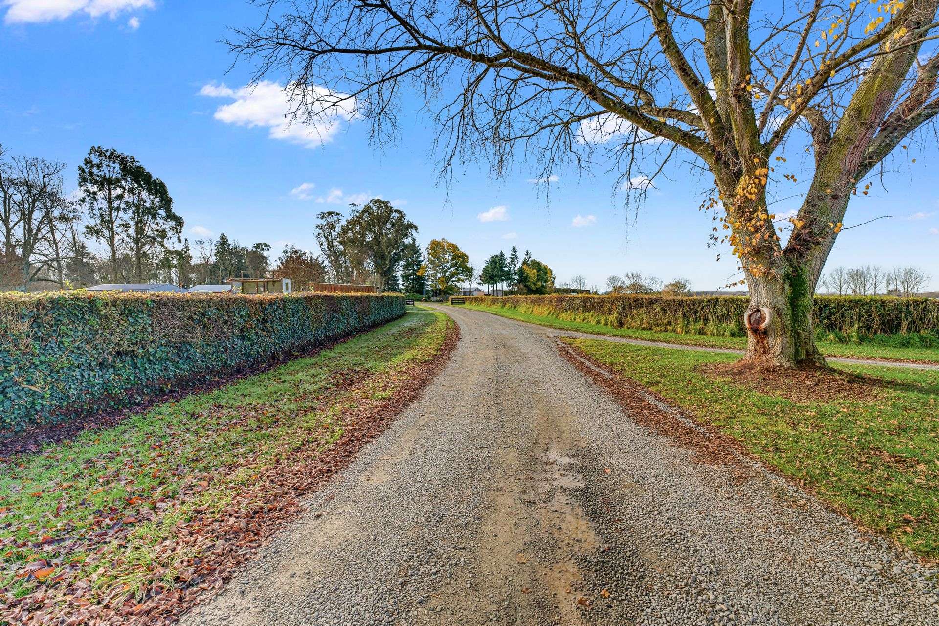 584A Orari Station Road Geraldine_0