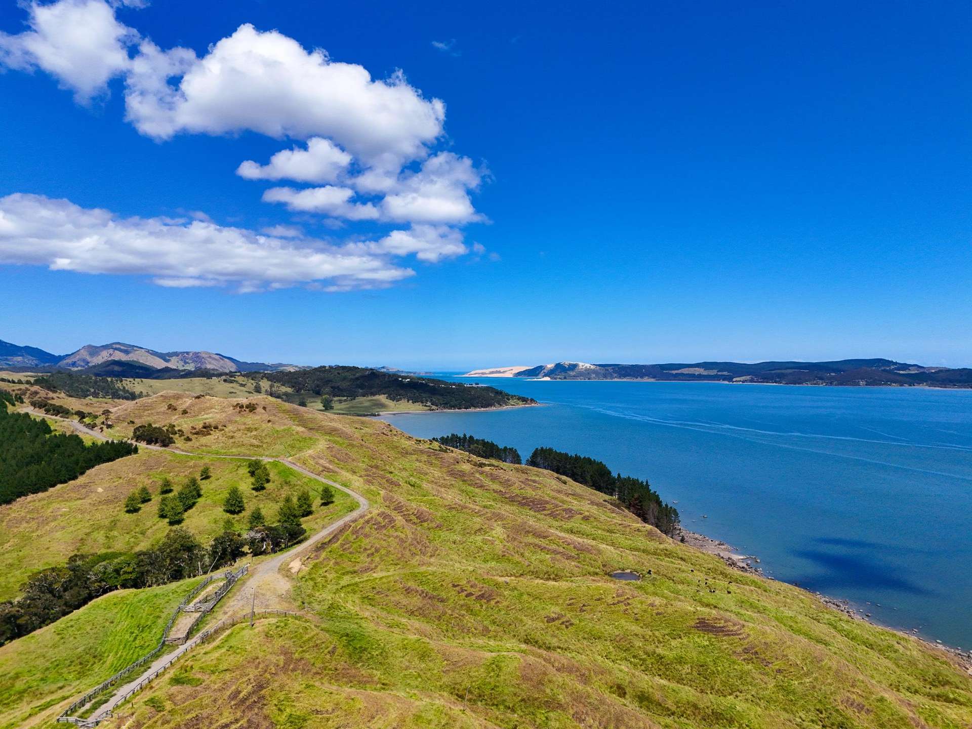 Brindle Road Opononi_0