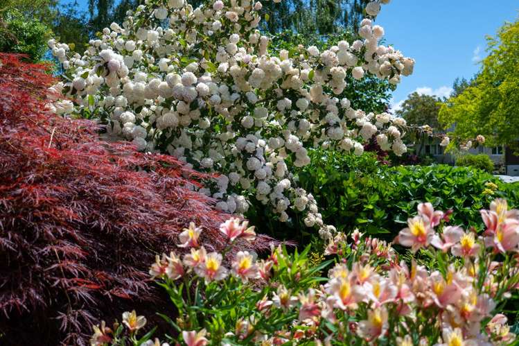 6 Gillam Crescent Springfield_37