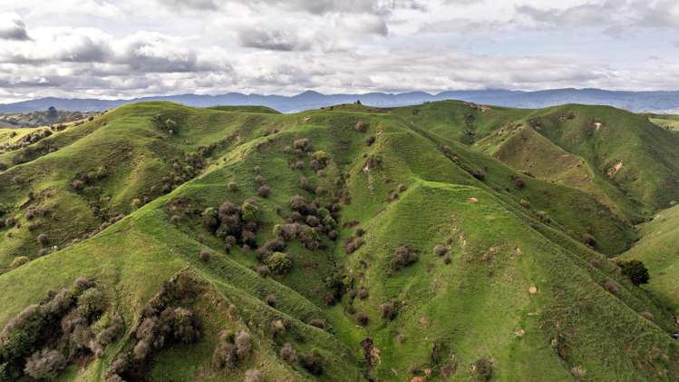 169 Addison Road Waimana_7