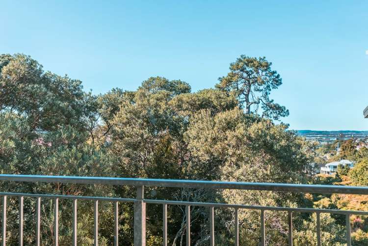 23j Hendry Avenue Hillsborough_20