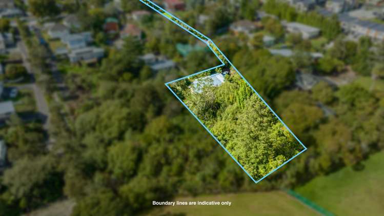 85b Woodglen Road Glen Eden_4