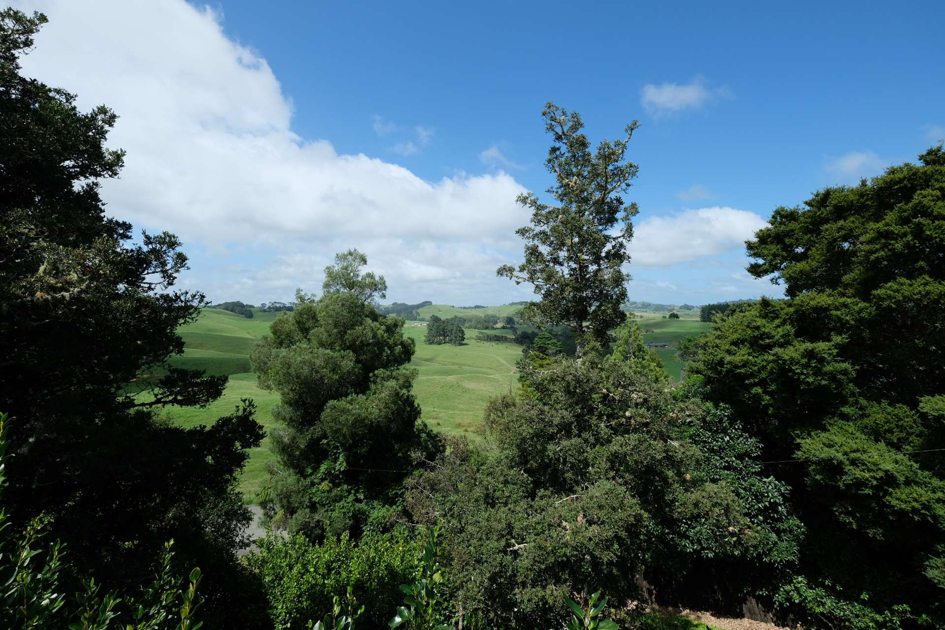 876 Upper Waiwera Road Puhoi_0