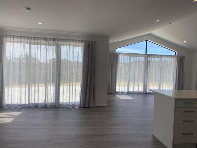 350 Whitehills Road Dairy Flat_2