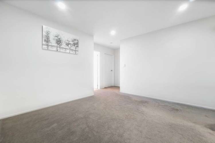 16B Goodfellow Lane Flat Bush_8