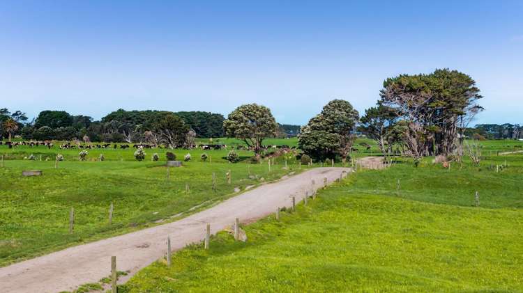 189 Namu Road Rd 31_17