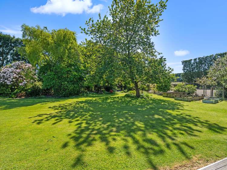 471 Western Drain Road Edgecumbe_18