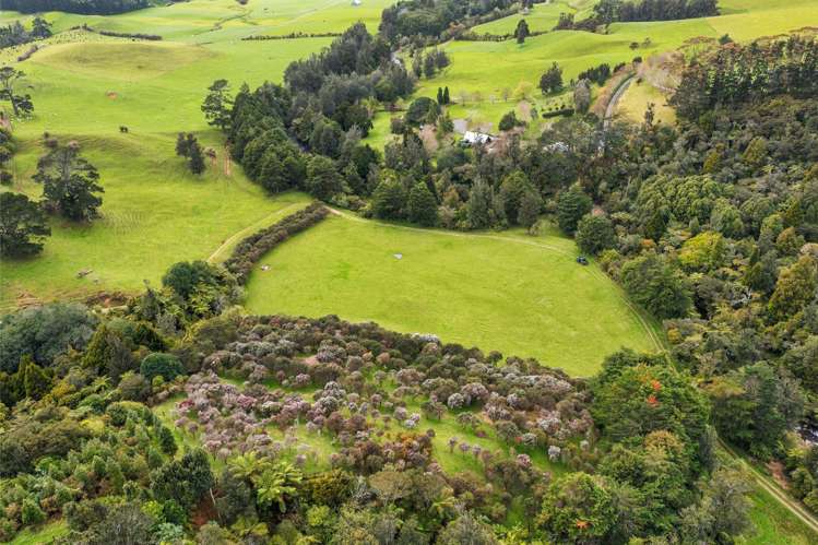 179 Lund Road Aongatete_21