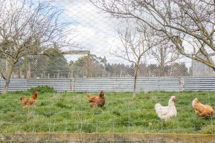 814b State Highway 2 Opaki_17