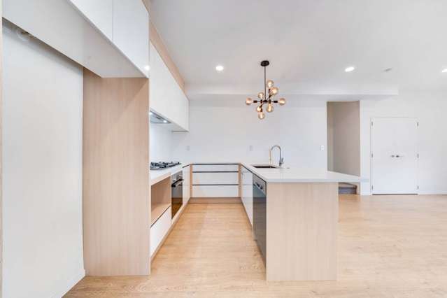 3A Frontier Lane Flat Bush_1