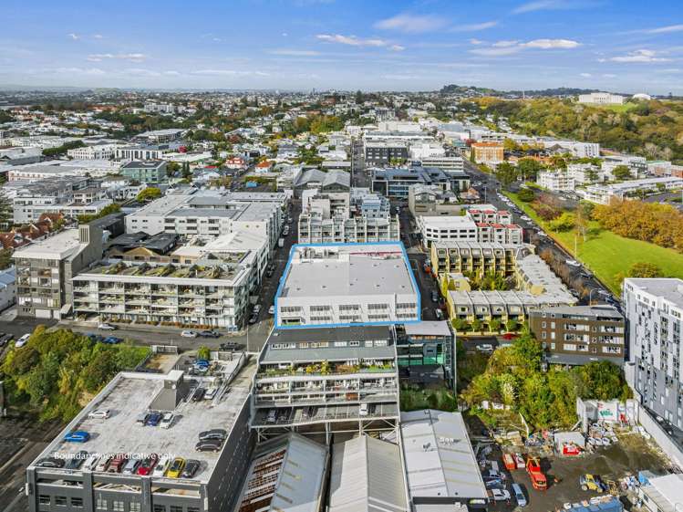 9 Augustus Terrace Parnell_8