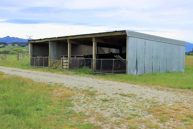 105 Lynwood Road New Lynn_6