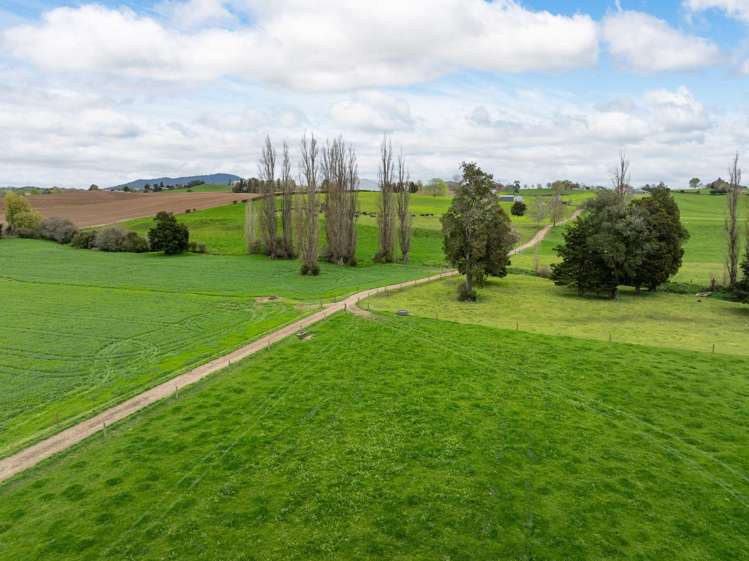 222 Gunn Road Matamata_28