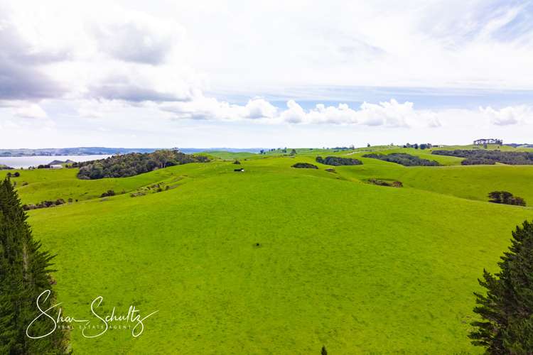 1509 Tinopai Road Tinopai_16