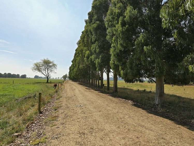 74 Reid Road Winton Surrounds_13