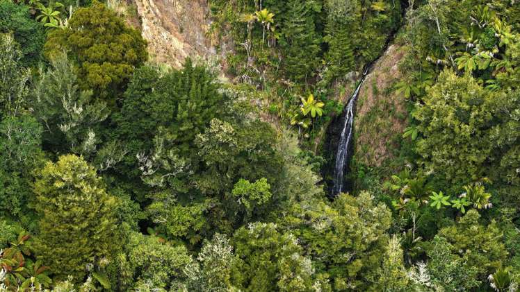 - Waioeka Pa Road Opotiki_8
