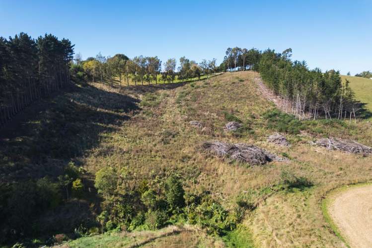 376 Awamoa Road Oamaru_20