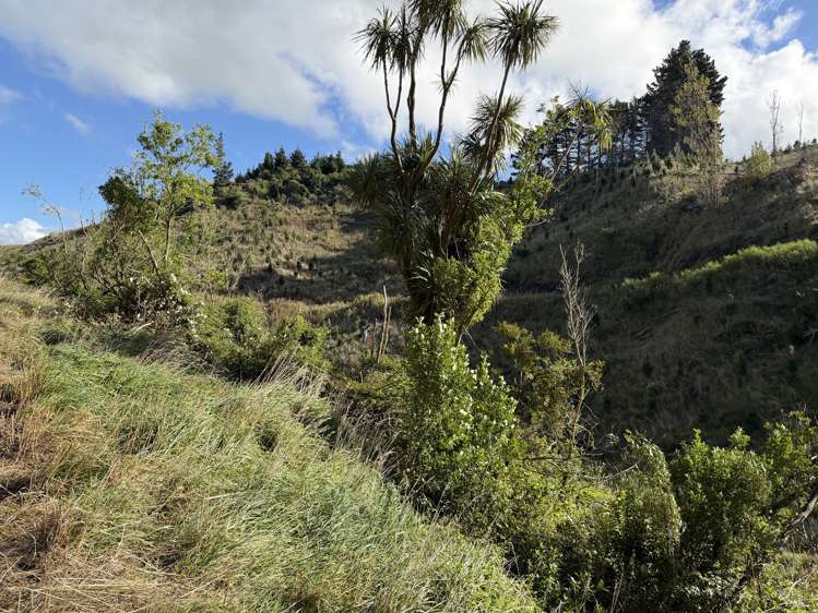 300 Ngapaeruru Road Dannevirke_6