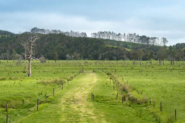 Farm 1 Pukehuia Road Tangiteroria_3