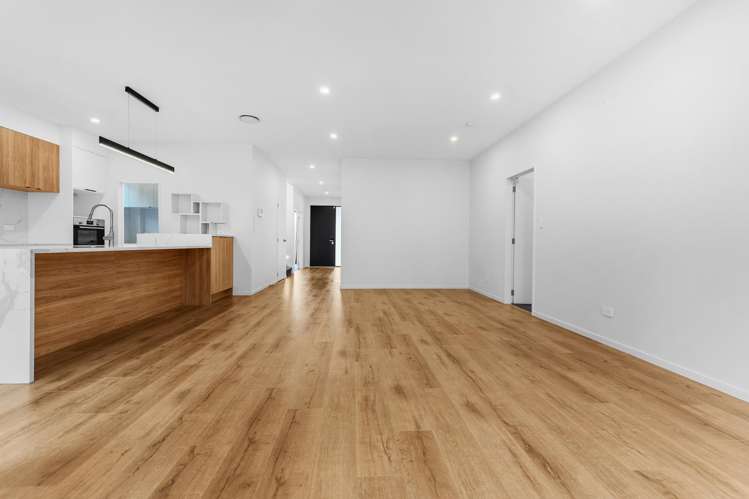 3 Cyperus Street Flat Bush_1
