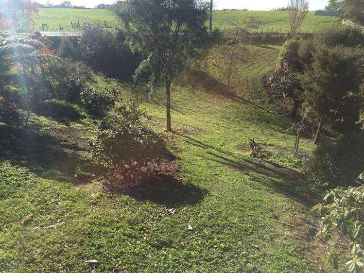 311 Opunake Road Cardiff_25