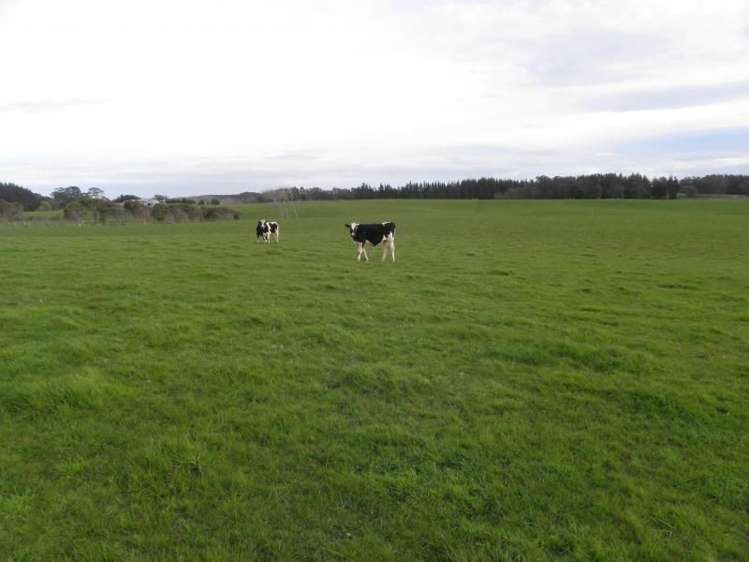 1433 State Highway 3 Turakina_7