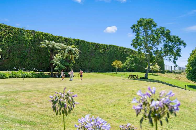 862 No 1 Road Te Puke_17