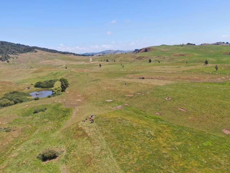 Kahuwera Road Piopio_18