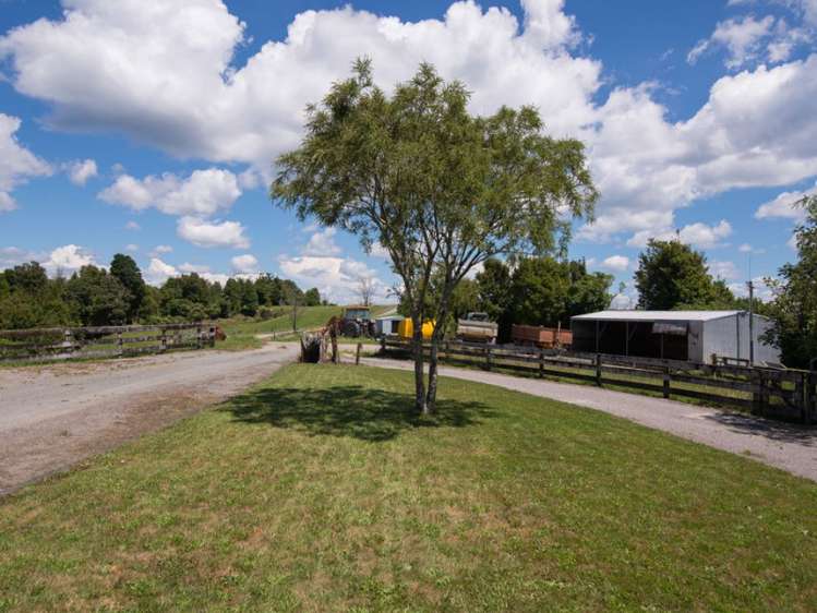 627 South Road Mamaku_8