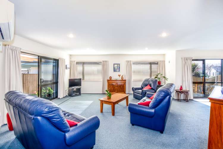 19 Palmbrook Avenue Havelock North_6