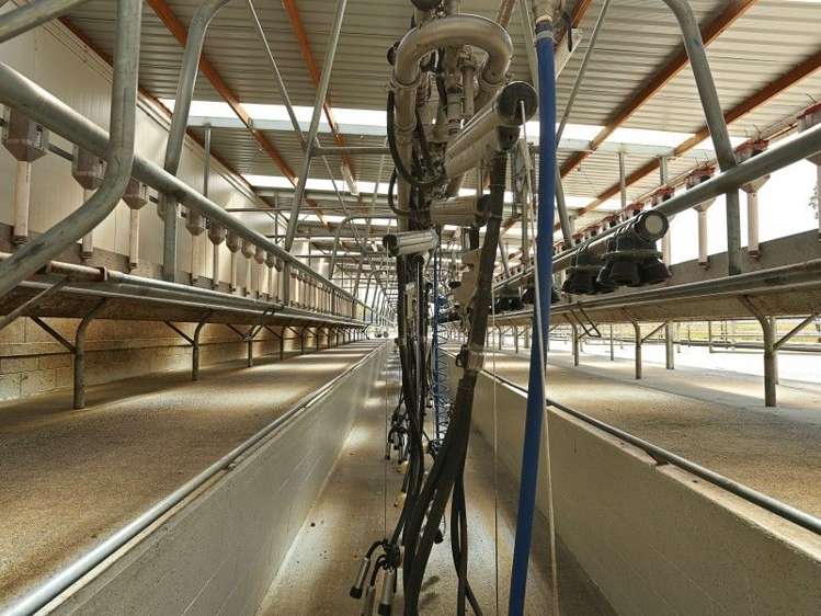 74 Reid Road Winton Surrounds_11