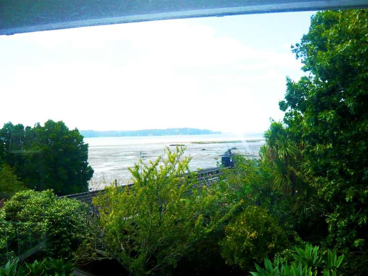 1/46 Gill Avenue Te Atatu Peninsula_16