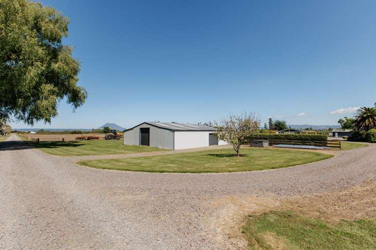 408a Awakeri Road Edgecumbe_6