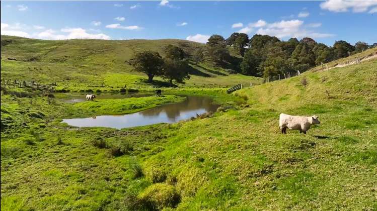 122 Hurndall Street East Maungaturoto_22