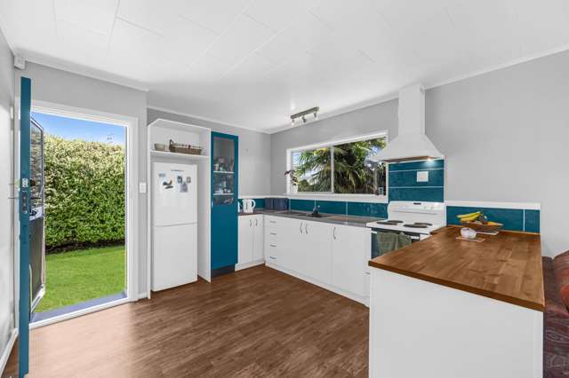 189 Guppy Rd Taradale_4