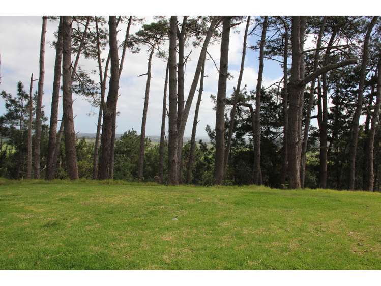 285 Waihue Road Dargaville_5