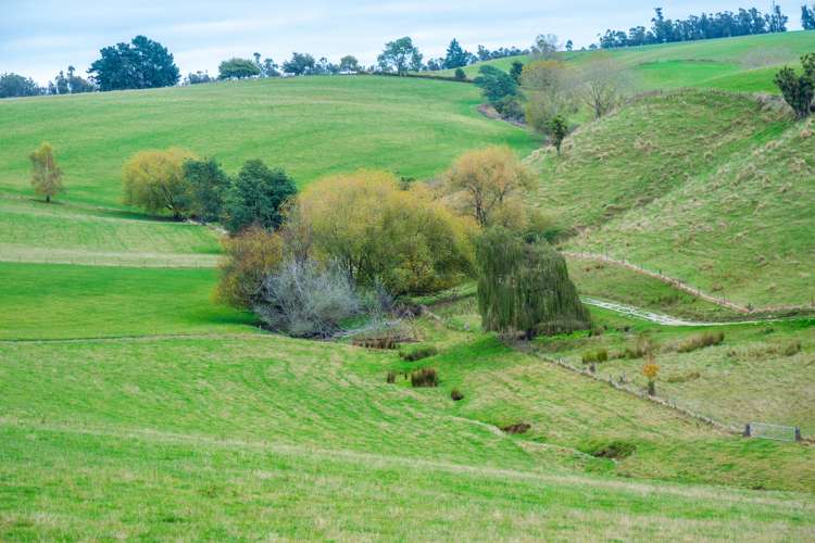 55 Dinda Road Waitohi_16