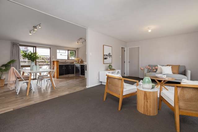 13a Chester Street Judea_1