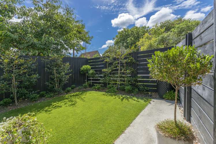 18 Springwood Place Mount Eden_14