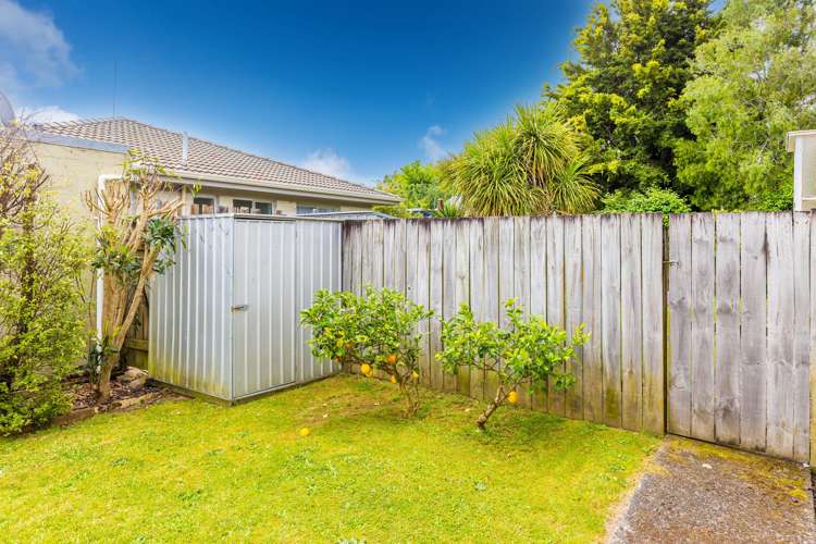 141b Galloway Street Hamilton East_19