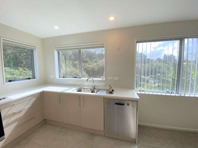 59 Leo Street Glen Eden_4